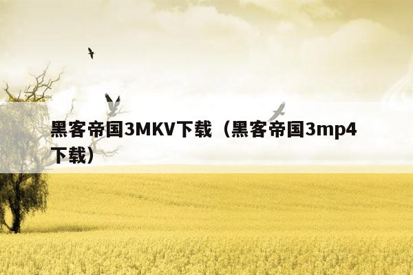 黑客帝国3MKV下载（黑客帝国3mp4 下载）