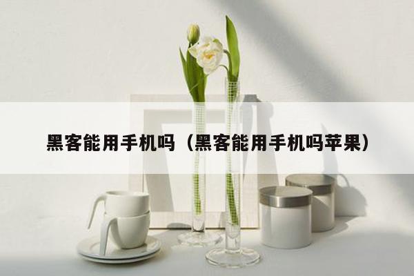 黑客能用手机吗（黑客能用手机吗苹果）