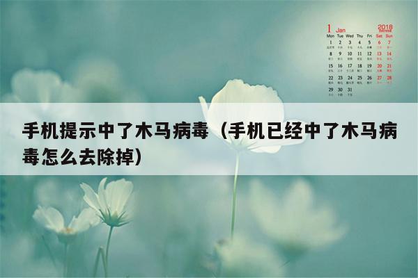 手机提示中了木马病毒（手机已经中了木马病毒怎么去除掉）