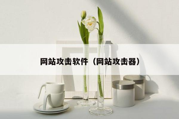 网站攻击软件（网站攻击器）