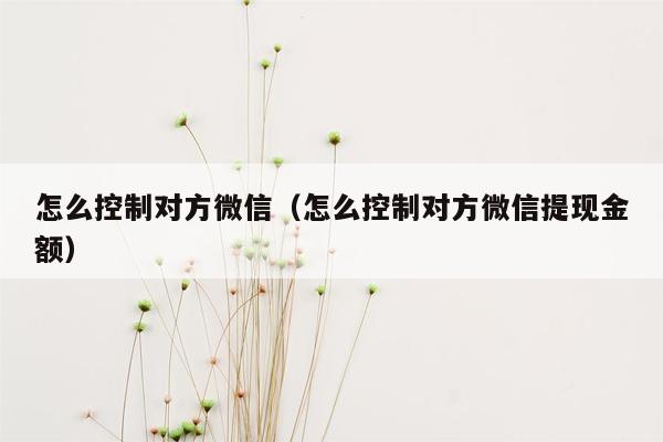 怎么控制对方微信（怎么控制对方微信提现金额）