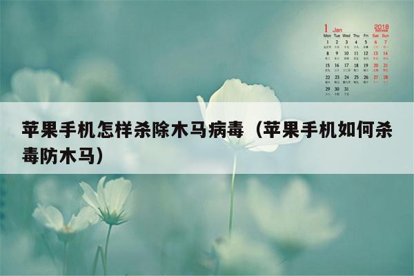 苹果手机怎样杀除木马病毒（苹果手机如何杀毒防木马）