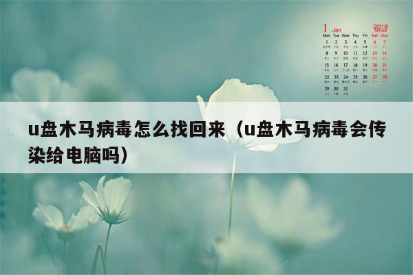 u盘木马病毒怎么找回来（u盘木马病毒会传染给电脑吗）