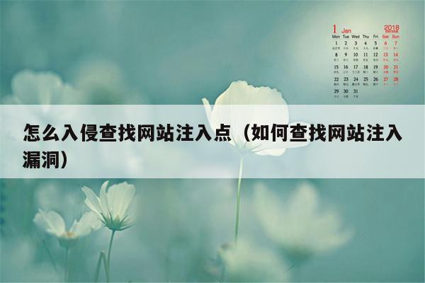 怎么入侵查找网站注入点（如何查找网站注入漏洞）