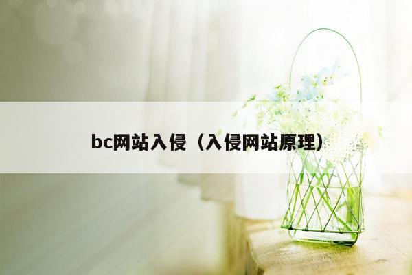 bc网站入侵（入侵网站原理）