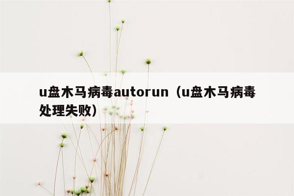 u盘木马病毒autorun（u盘木马病毒处理失败）