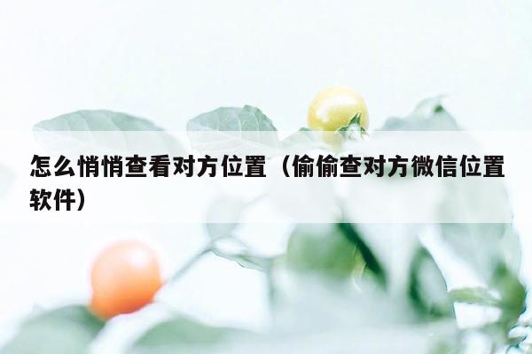 怎么悄悄查看对方位置（偷偷查对方微信位置软件）