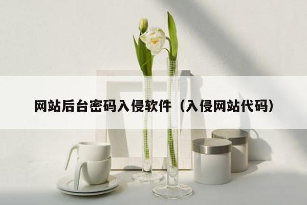 网站后台密码入侵软件（入侵网站代码）