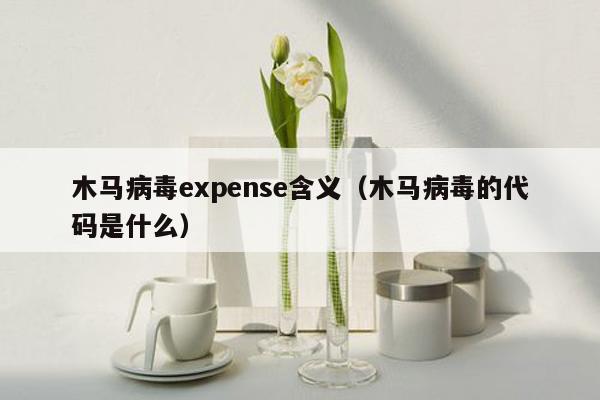 木马病毒expense含义（木马病毒的代码是什么）