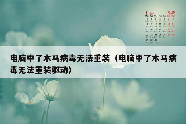 电脑中了木马病毒无法重装（电脑中了木马病毒无法重装驱动）