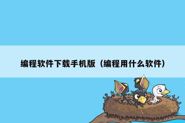 编程软件下载手机版（编程用什么软件）