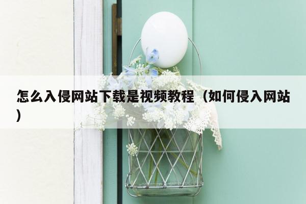 怎么入侵网站下载是视频教程（如何侵入网站）