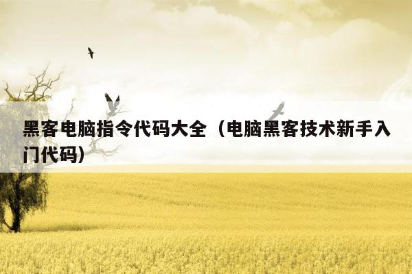 黑客电脑指令代码大全（电脑黑客技术新手入门代码）