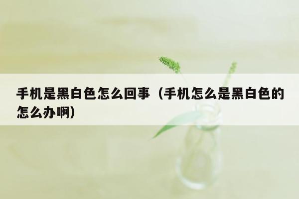 手机是黑白色怎么回事（手机怎么是黑白色的怎么办啊）